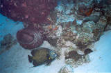 TCI0204_13.jpg