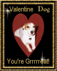 HAPPY VALENTINE'S DOG DAY FROM JAMIE