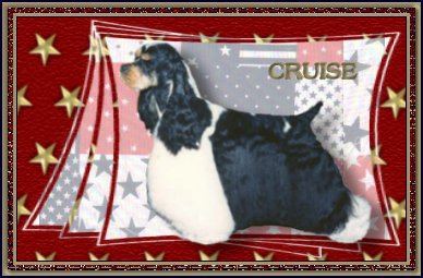 Cruise