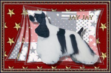 JayJay