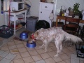 Check out the tail!