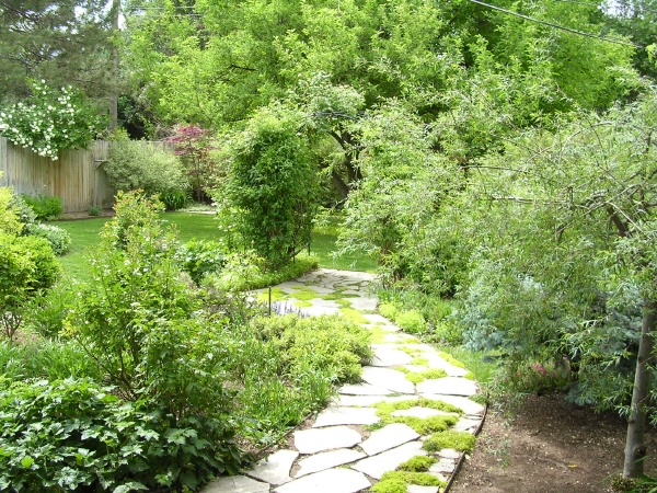 Walkway to Back Yard