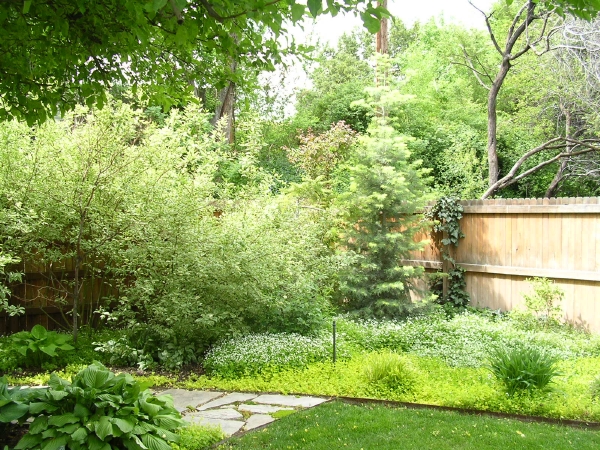 Landscaping-3