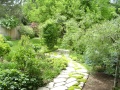 Walkway to Back Yard