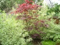 Landscaping-2