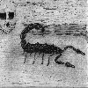 The Scorpion (o)