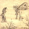 Sorceress vs Sprite (o) 