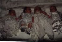 harrison/babies4n.jpg