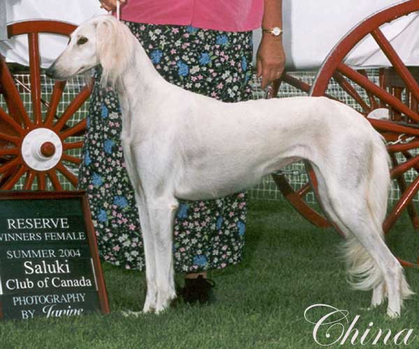 China and me win at Calgary in 2004!