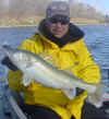 Big Walleye