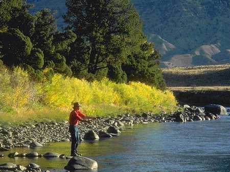 Fishing in Yellowstone