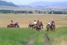 Horses