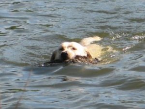 'I Got it Dad!!!'