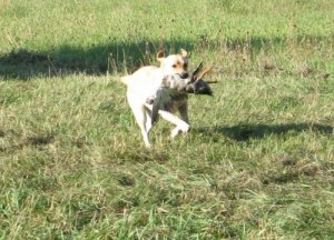 'Look What I Found!!!!'