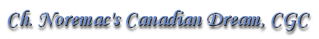 Ch. Noremac's Canadian Dream,  CGC