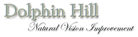 Dolphin Hill Vision Improvement