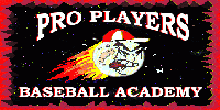 Pro Players Baseball Academy