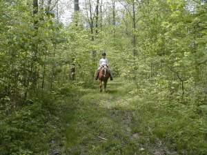 © Cedar Lane Farm