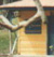 Casa de bonecas no Parque Cremerie