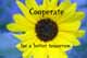  Cooperate for a better tomorrow. 
