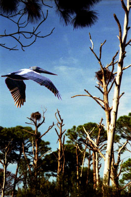  View May 2004 images. 