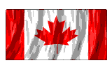 ripflg.gif (24549 bytes)