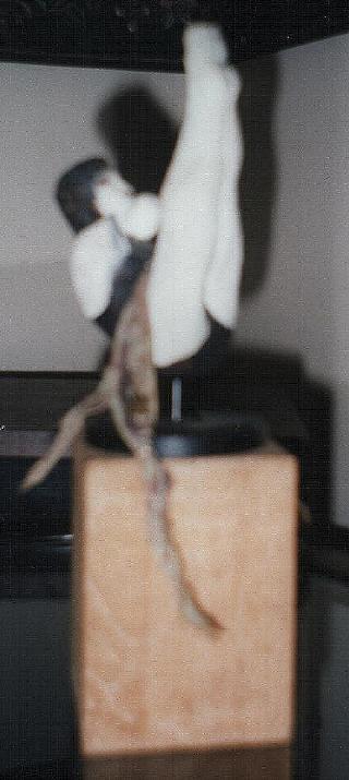 The Diver