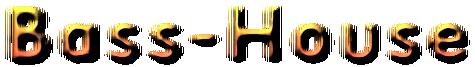 Zur Bass-House Seite