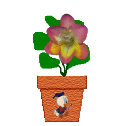 The Site Fights Spirit Flowers