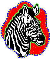 Zena Zebra, San Jose
