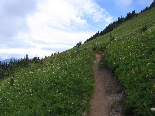 above Buck Creek Pass