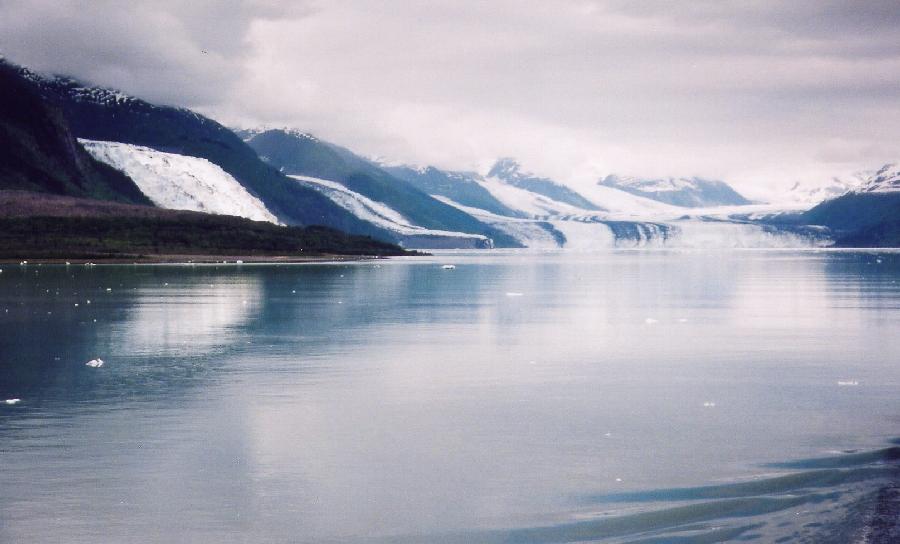 head of College Fjord