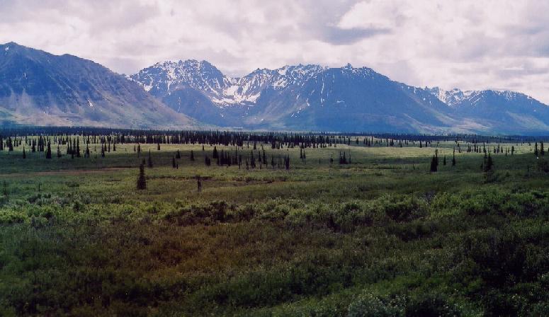 from the train