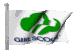 Girl Scout Flag