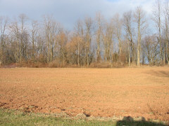 Click for a panorama view of Phase 2 - Allen Lane