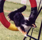 kelseyjump.jpg (62952 bytes)