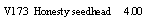 Text Box: V173  Honesty seedhead     4.00