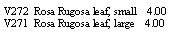 Text Box: V272  Rosa Rugosa leaf, small    4.00V271  Rosa Rugosa leaf, large    4.00