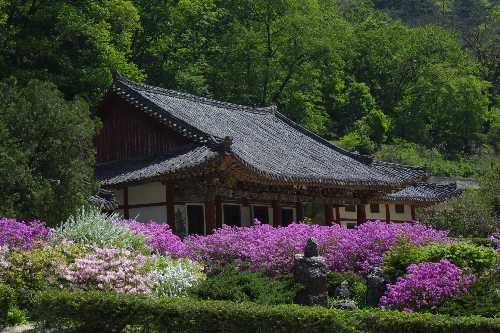 Pohyon Temple
