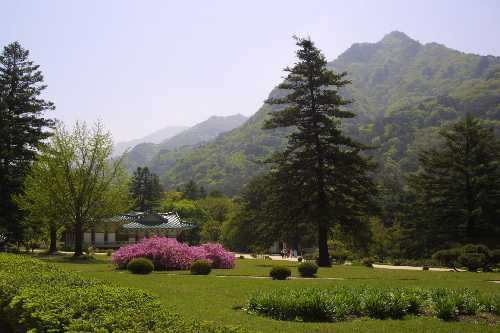 Beautiful Gardens at Pohyon Temple