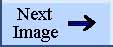 Next Image