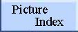 Click here to view the picture index