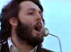bearded.jpg (62768 bytes)