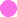 pink.gif (147 bytes)