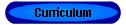 Curriculum