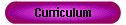 Curriculum