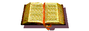 Dractionary / Draconomicon