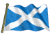 Flag of Scotland - Stew is half Scottish