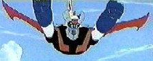 FLYING Z