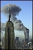 wtc188.jpg